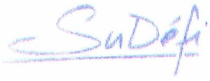 SUDEFI_logo
