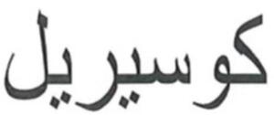 COSYREL_logo