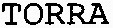 TORRA_logo