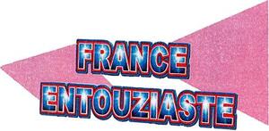 FRANCE ENTOUZIASTE_logo