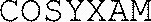 COSYXAM_logo
