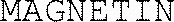MAGNETIN_logo