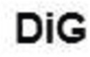 DIG_logo