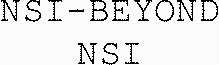 NSI-BEYOND NSI_logo