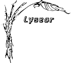 LYSEOR_logo