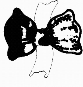FMARK0000000092445209