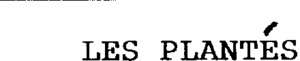 LES PLANTES_logo
