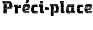 PRECI-PLACE_logo