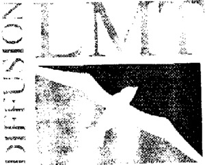 DIFFUSION LMT_logo