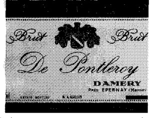 DE PONTLEROY_logo