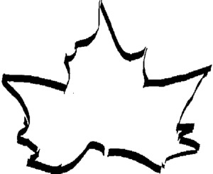 FMARK0000000094535645
