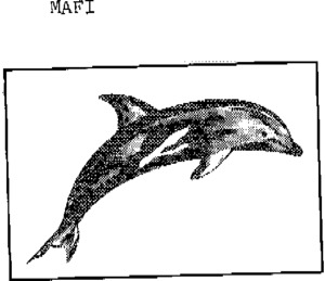 MAFI_logo