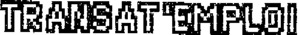 TRANSAT'EMPLOI_logo