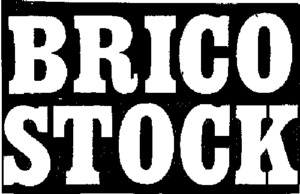 BRICO STOCK_logo