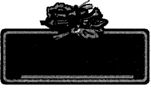 _logo