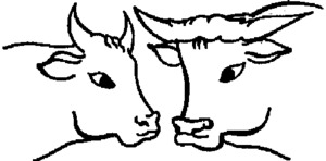 _logo