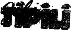 FMARK0000000095577045