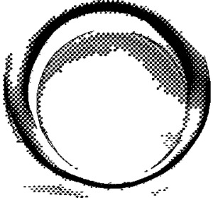 _logo
