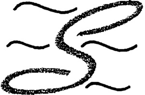 S_logo
