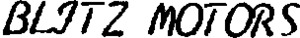 FMARK0000000096623369