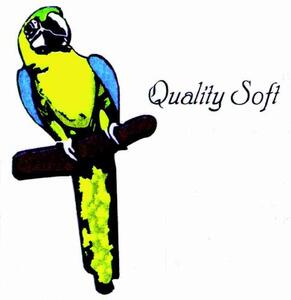 QUALITY SOFT_logo