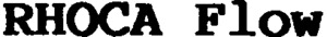 RHOCA FLOW_logo