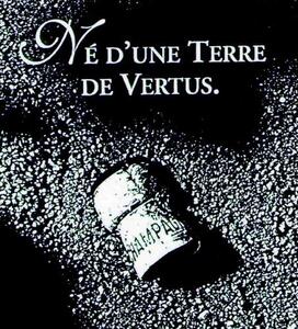 NE D'UNE TERRE DE VERTUS._logo