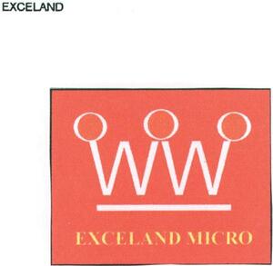 EXCELAND MICRO_logo
