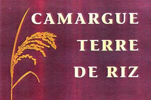 CAMARGUE TERRE DE RIZ_logo