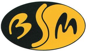 BSN_logo