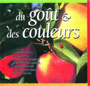 DU GOUT & DES COULEURS_logo
