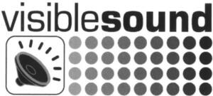 VISIBLE SOUND_logo