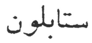 STABLON_logo