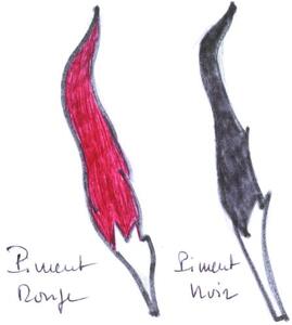 PIMENT ROUGE PIMENT NOIR_logo